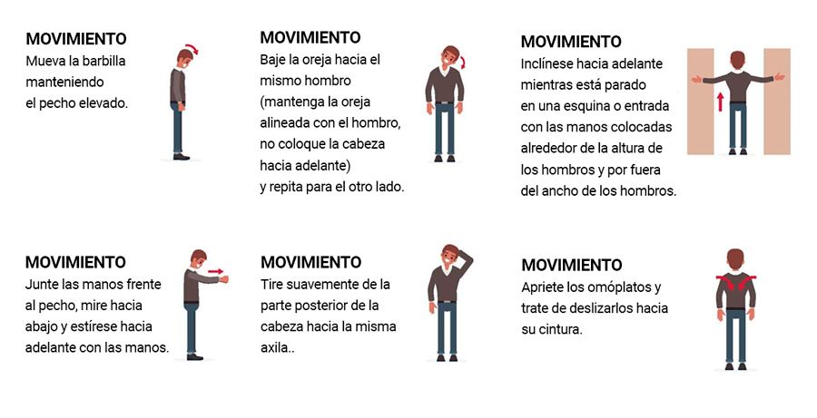 Los mejores estiramientos para el dolor de cuello 1 guia de estiramientos para el cuello imagen