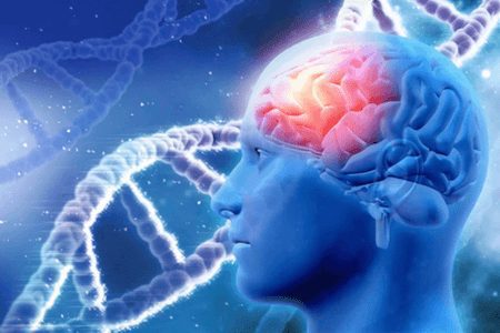 Inicio 8 Fisioterapia Neurológica